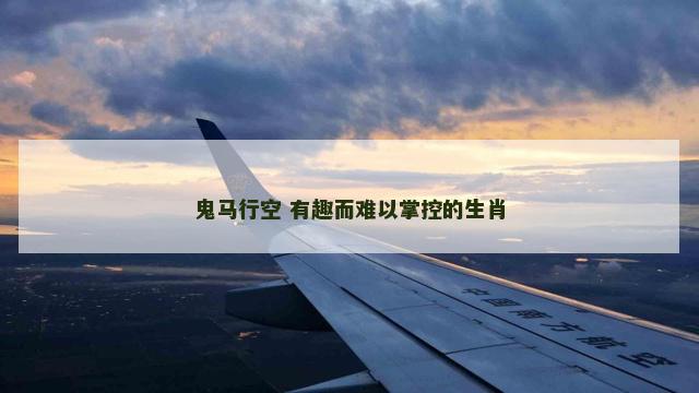 鬼马行空 有趣而难以掌控的生肖