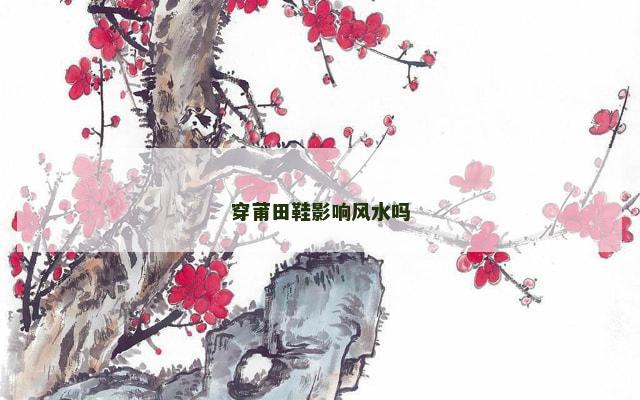 穿莆田鞋影响风水吗