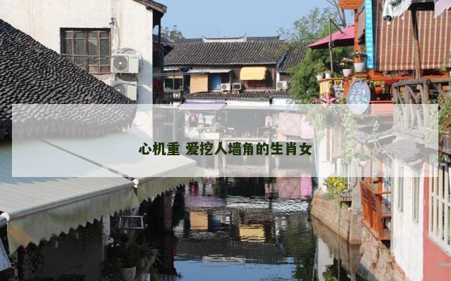 心机重 爱挖人墙角的生肖女