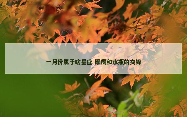 一月份属于啥星座 摩羯和水瓶的交锋