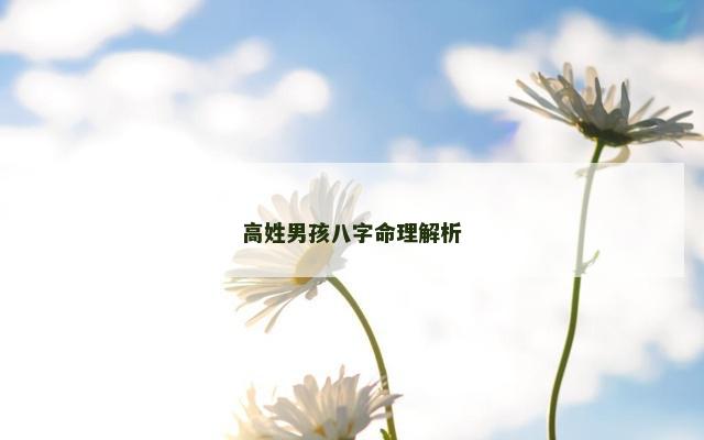 高姓男孩八字命理解析