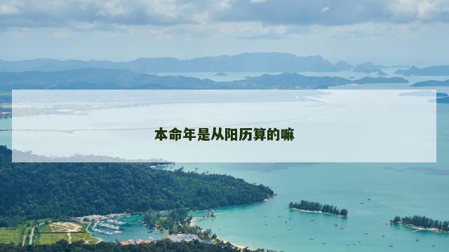 本命年是从阳历算的嘛