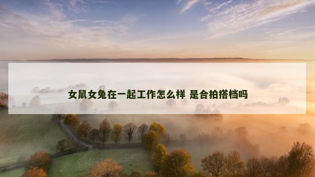 女鼠女兔在一起工作怎么样 是合拍搭档吗