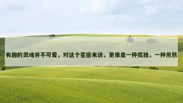 有趣的灵魂并不可爱，对这个星座来说，更像是一种孤独，一种煎熬