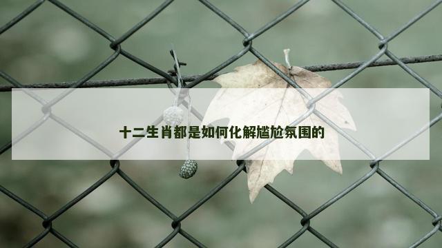 十二生肖都是如何化解尴尬氛围的