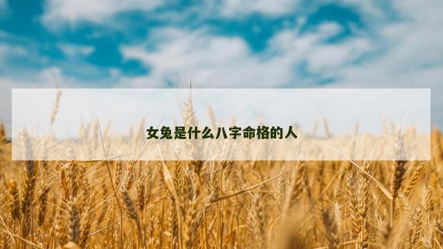 女兔是什么八字命格的人