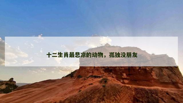 十二生肖最悲凉的动物，孤独没朋友