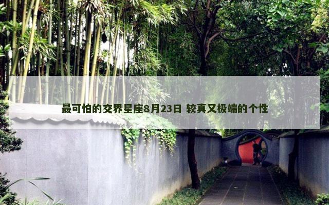 最可怕的交界星座8月23日 较真又极端的个性