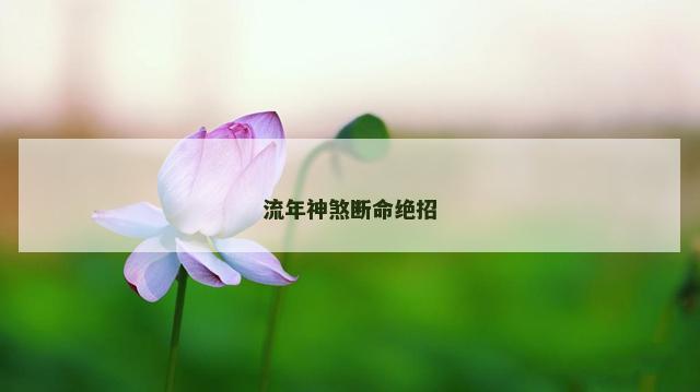 流年神煞断命绝招