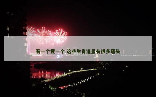 看一个爱一个 这些生肖追星有很多墙头