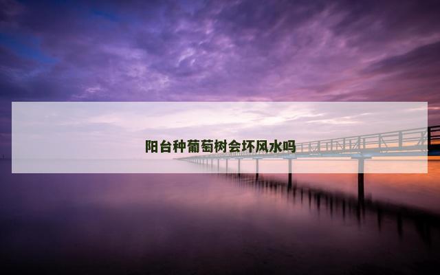 阳台种葡萄树会坏风水吗