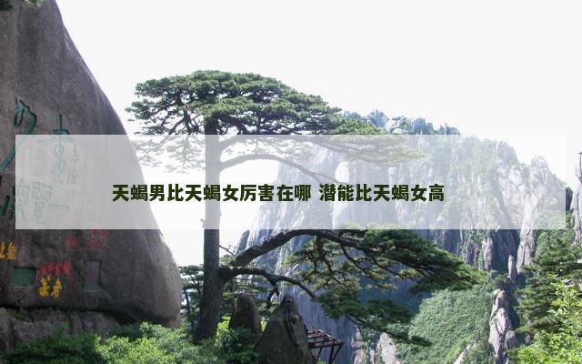 天蝎男比天蝎女厉害在哪 潜能比天蝎女高 　　