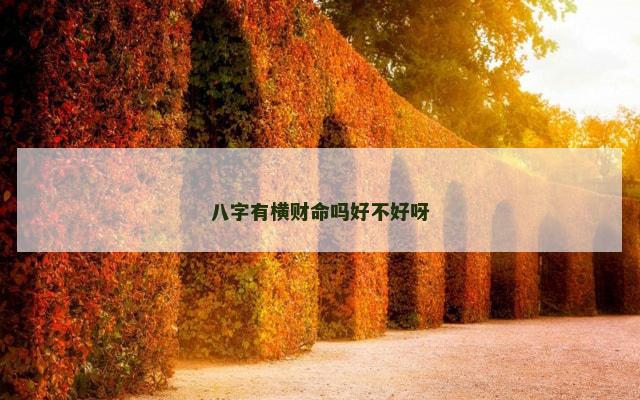 八字有横财命吗好不好呀
