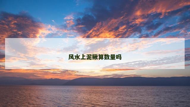 风水上泥鳅算数量吗