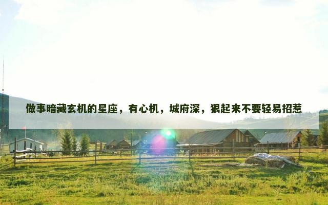 做事暗藏玄机的星座，有心机，城府深，狠起来不要轻易招惹