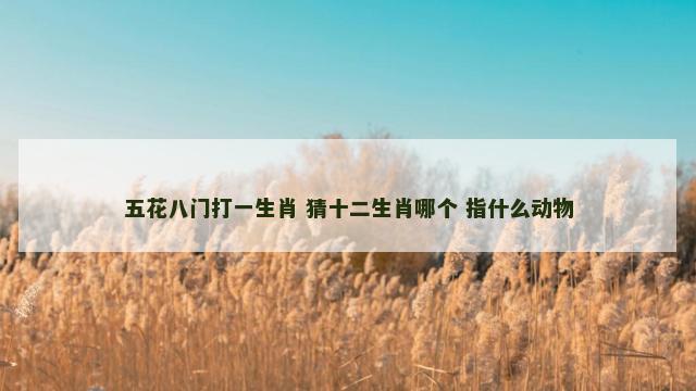 五花八门打一生肖 猜十二生肖哪个 指什么动物