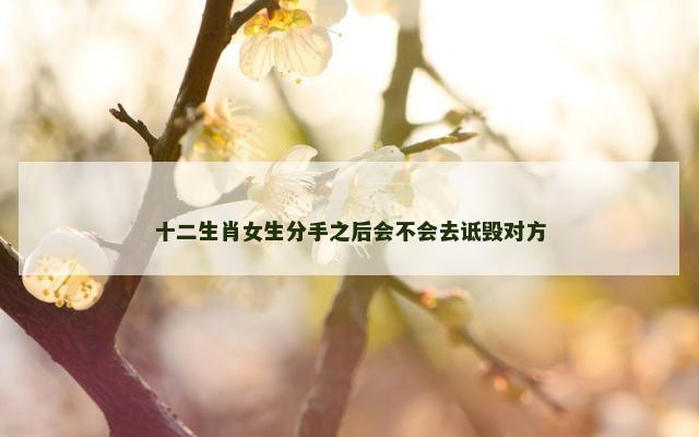 十二生肖女生分手之后会不会去诋毁对方