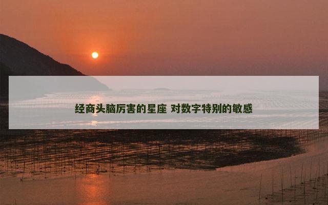 经商头脑厉害的星座 对数字特别的敏感