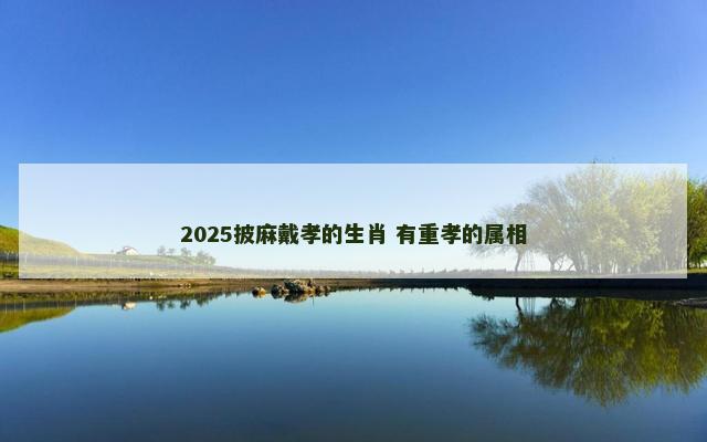 2025披麻戴孝的生肖 有重孝的属相