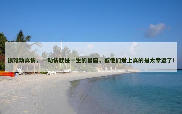 很难动真情，一动情就是一生的星座，被他们爱上真的是太幸运了！