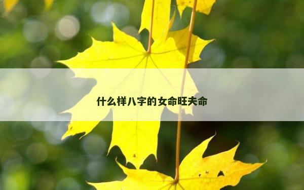 什么样八字的女命旺夫命