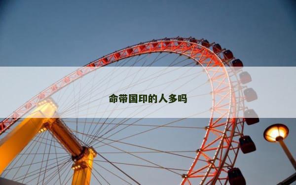 命带国印的人多吗