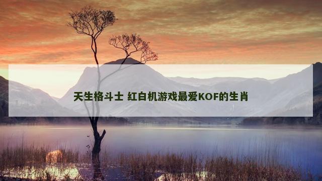 天生格斗士 红白机游戏最爱KOF的生肖