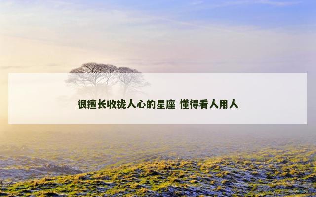 很擅长收拢人心的星座 懂得看人用人
