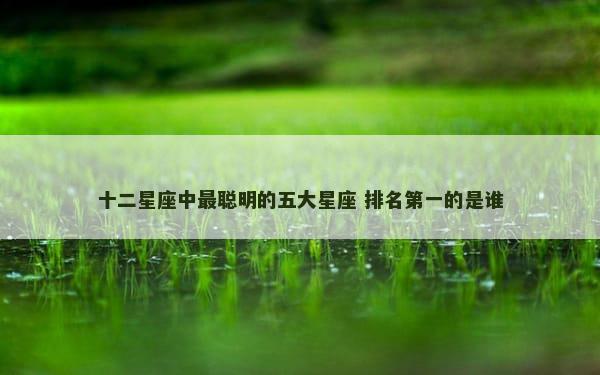 十二星座中最聪明的五大星座 排名第一的是谁