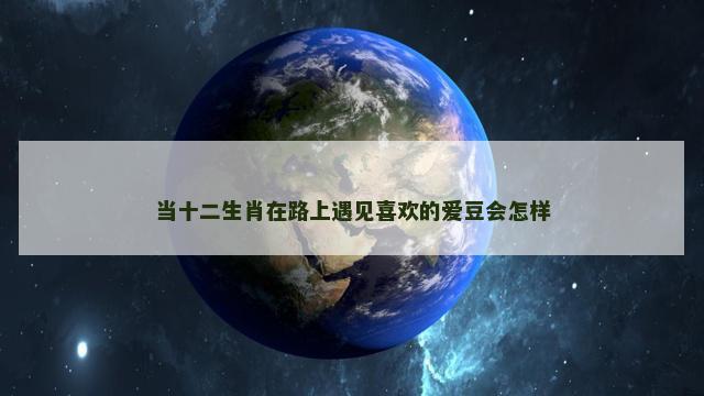 当十二生肖在路上遇见喜欢的爱豆会怎样