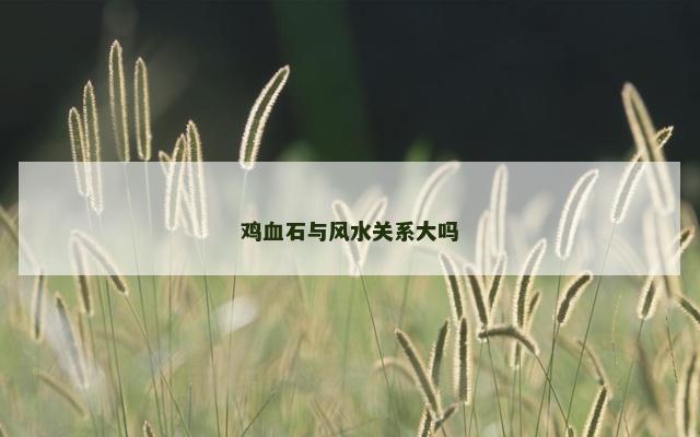 鸡血石与风水关系大吗