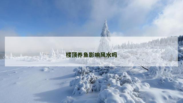 楼顶养鱼影响风水吗