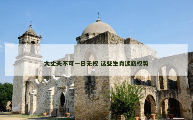 大丈夫不可一日无权 这些生肖迷恋权势