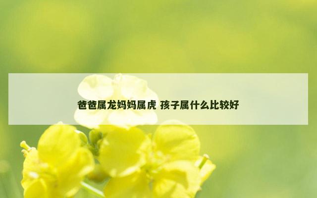 爸爸属龙妈妈属虎 孩子属什么比较好