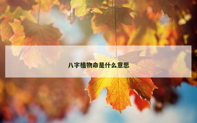 八字植物命是什么意思