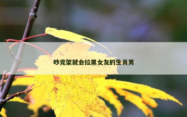 吵完架就会拉黑女友的生肖男