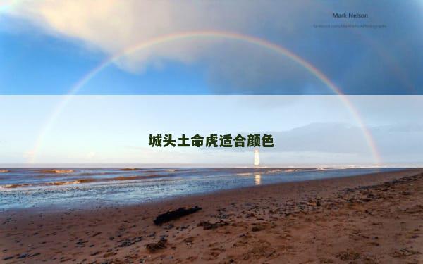 城头土命虎适合颜色