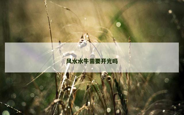 风水水牛需要开光吗