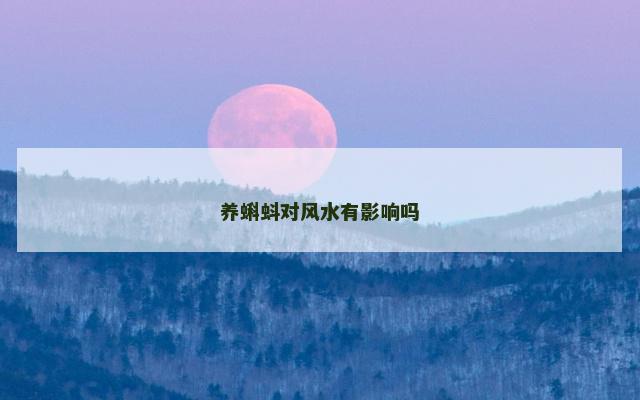 养蝌蚪对风水有影响吗