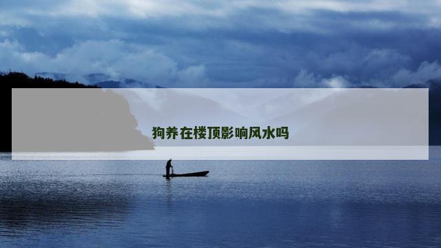 狗养在楼顶影响风水吗