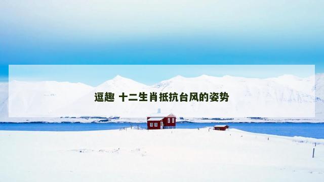 逗趣 十二生肖抵抗台风的姿势