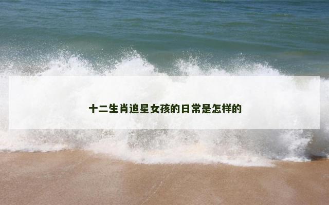 十二生肖追星女孩的日常是怎样的