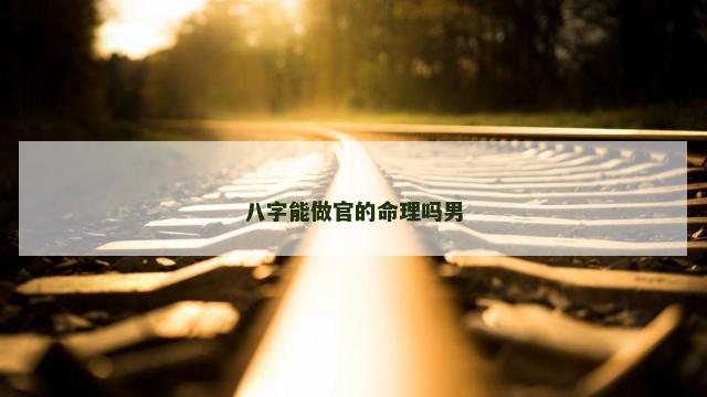 八字能做官的命理吗男