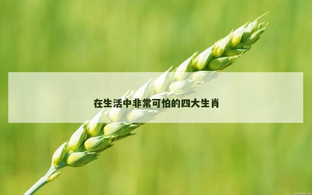 在生活中非常可怕的四大生肖