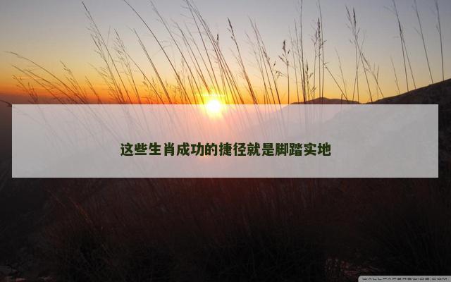 这些生肖成功的捷径就是脚踏实地