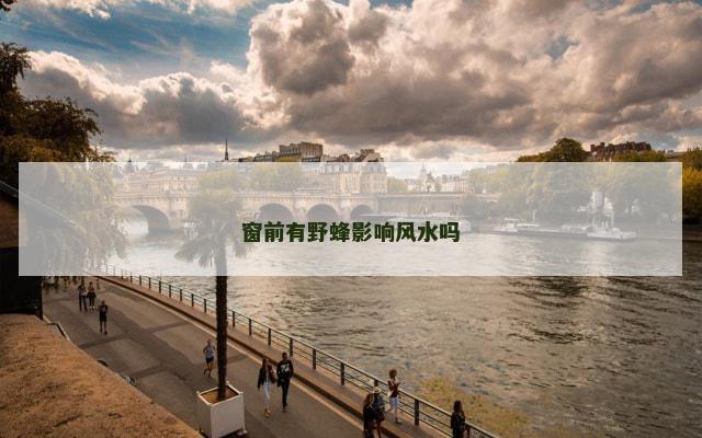 窗前有野蜂影响风水吗