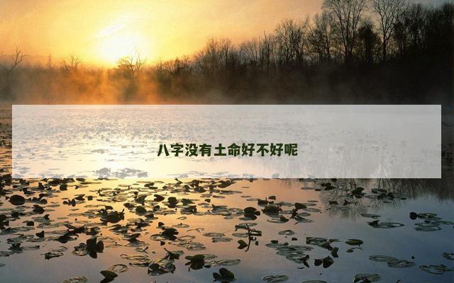 八字没有土命好不好呢
