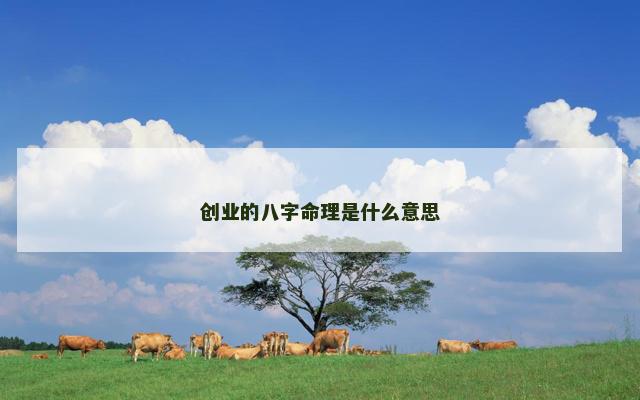 创业的八字命理是什么意思