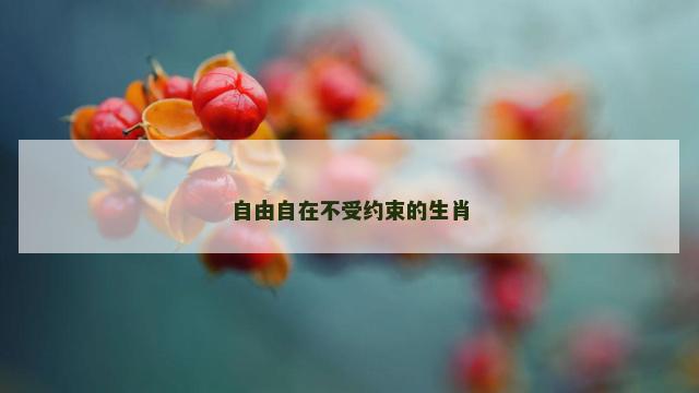 自由自在不受约束的生肖