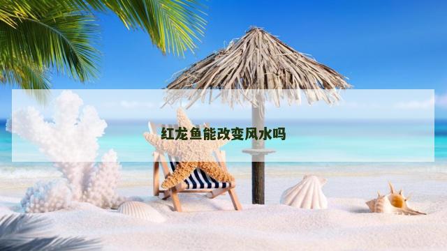 红龙鱼能改变风水吗